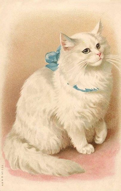 a white cat with a blue bow on it's collar sitting in front of a beige background