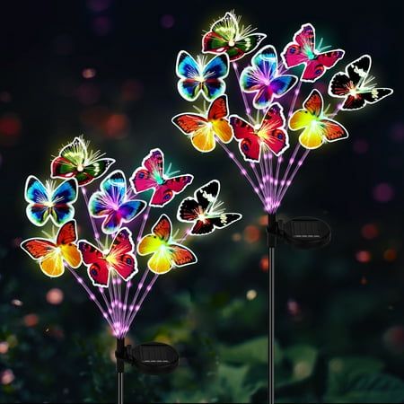 two colorful butterfly lights in the dark