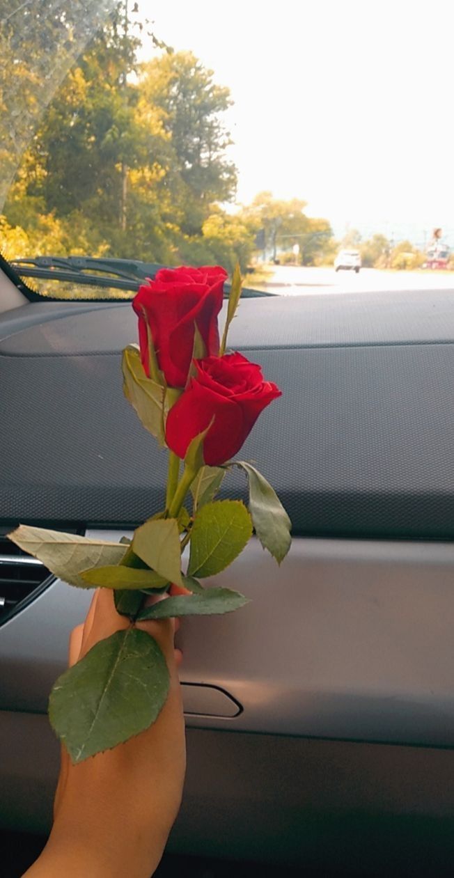 a person is holding two roses in their hand while sitting in the driver's seat