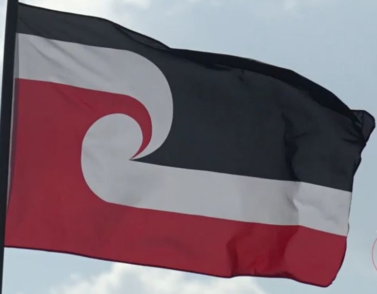 a flag flying in the wind on a cloudy day