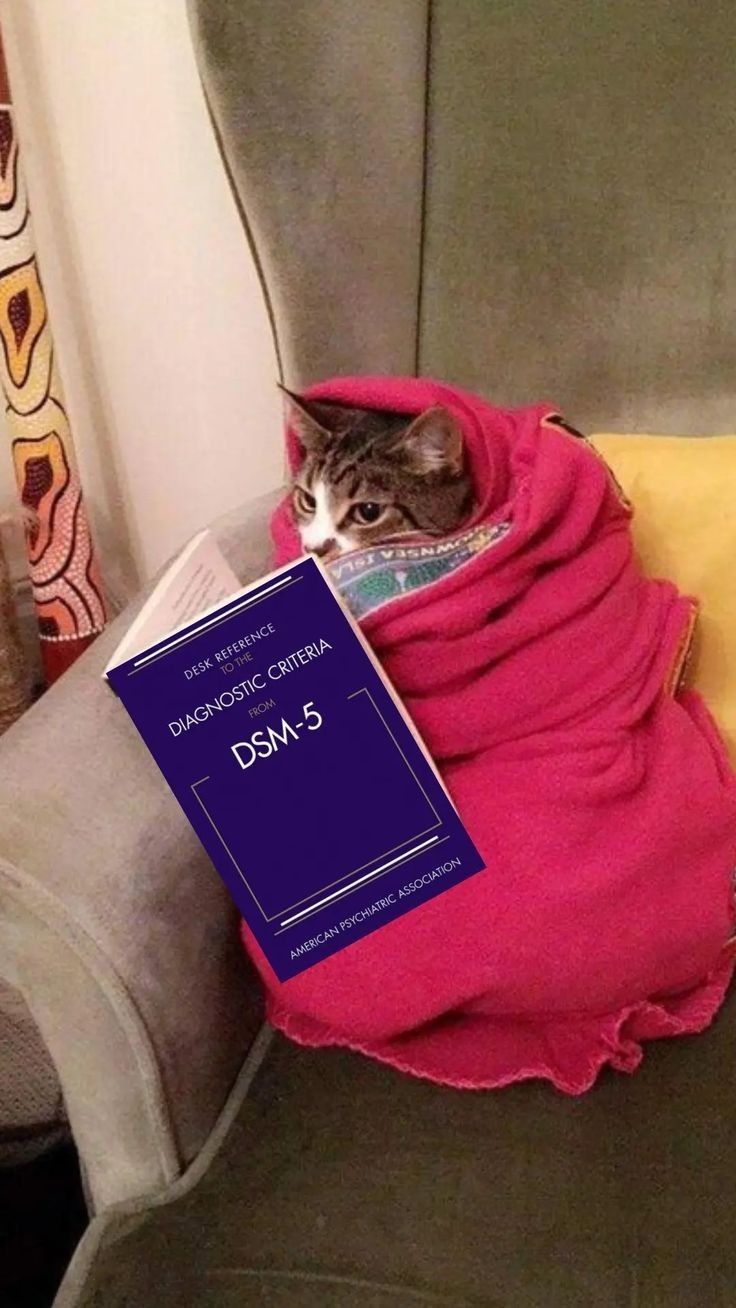 a cat sitting on top of a couch under a pink blanket next to a book