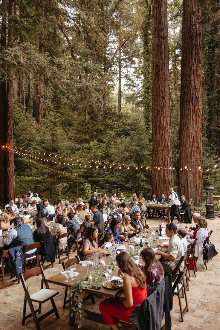 a group of people sitting at tables in the middle of a forest