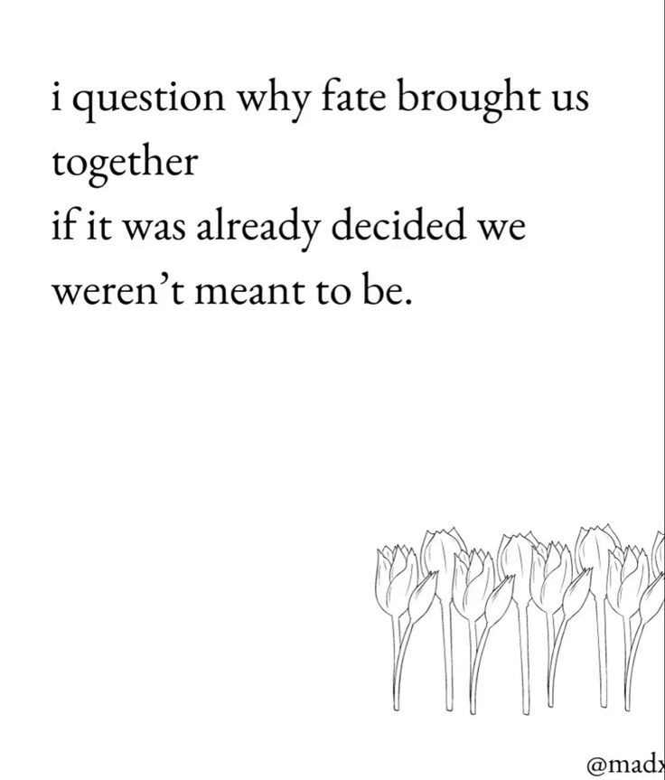 a quote that reads, i question why fate brought us together if it was already decided we