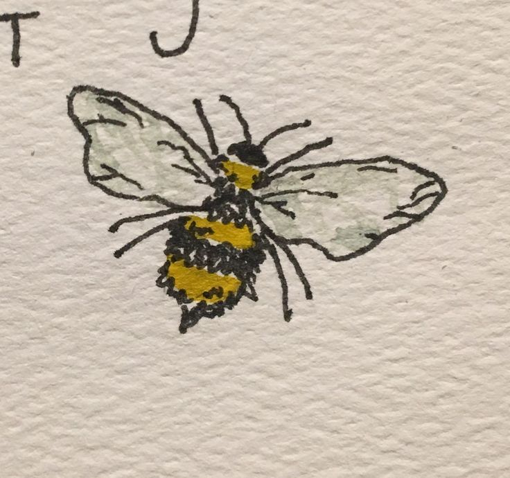 a drawing of a bee with the letter j on it