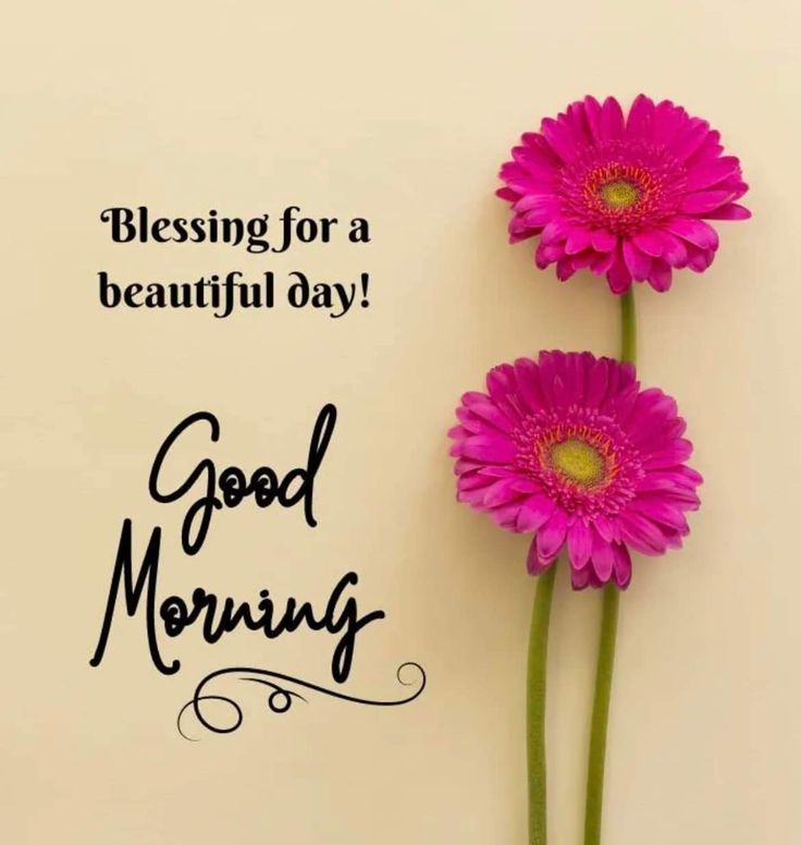 two pink flowers with the words, blessing for a beautiful day good morning on it