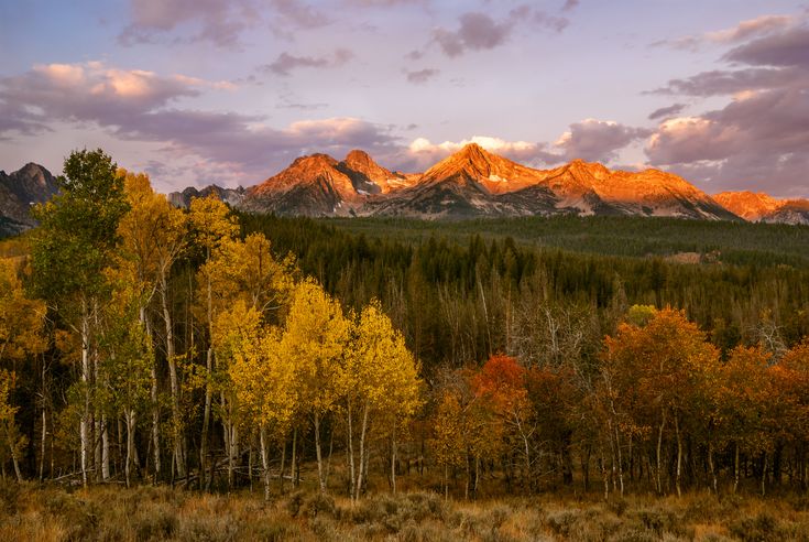 the mountains are covered in colorful trees as the sun sets