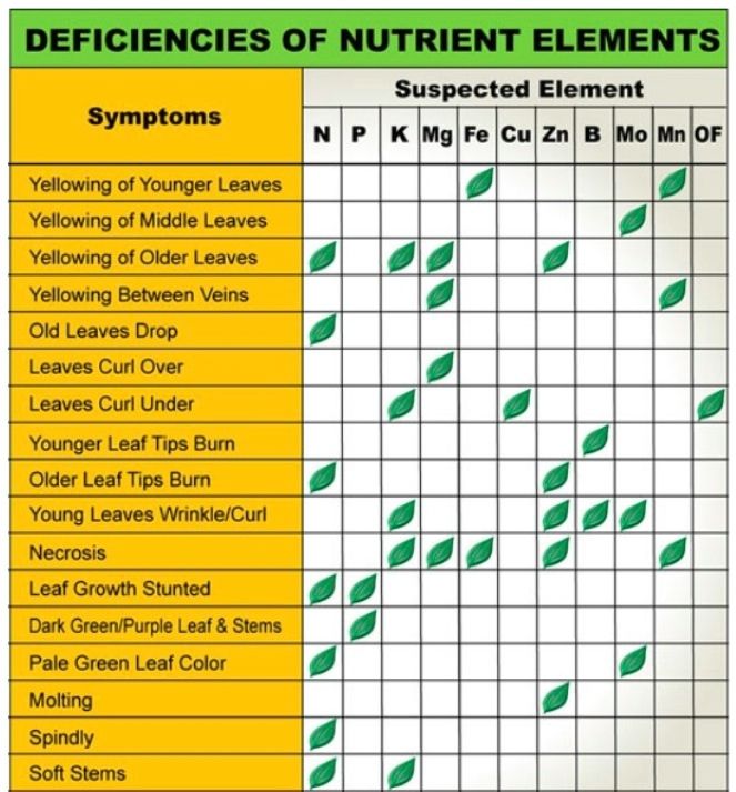 a table with different types of plants and their names in green, yellow and white