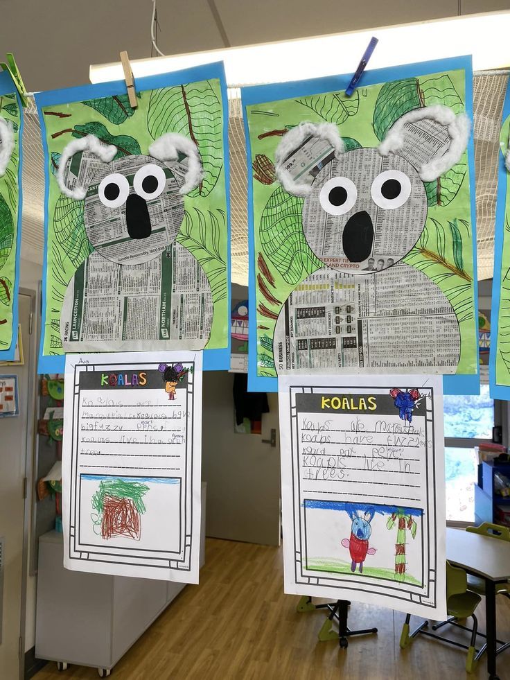 two bulletin boards with pictures of koalas hanging from the ceiling in a classroom