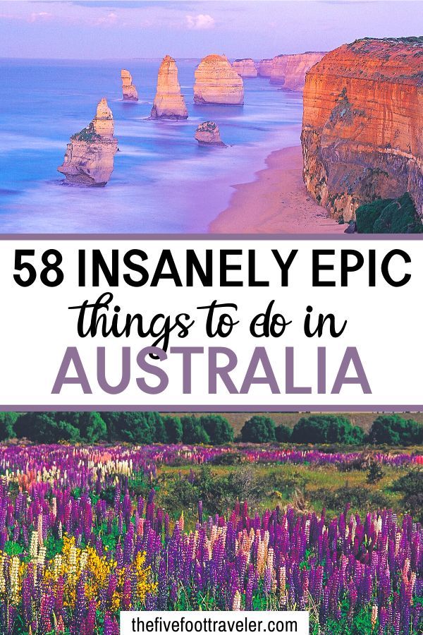 purple flowers with the ocean in the background and text overlay that reads, 8 insanely epic things to do in australia