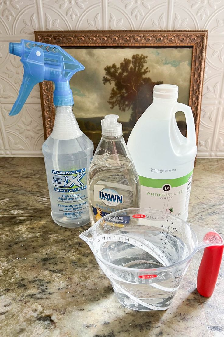 several cleaning products are sitting on the counter next to a framed photo and red handled toothbrush