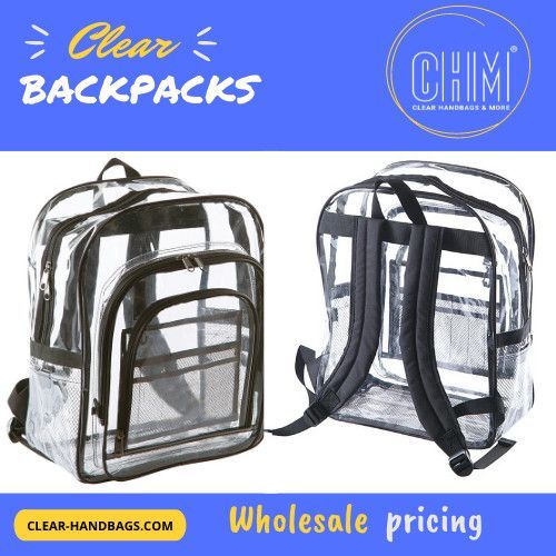 Clear Backpack Transparent Backpack, Clear Backpacks, Clear Backpack, Clear Handbags, Backpack With Wheels, Correctional Officer, Clear Bag, Clear Bags, Large Backpack