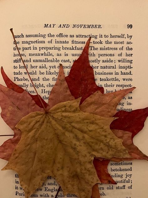 a leaf laying on top of an open book with the words may and november written below it