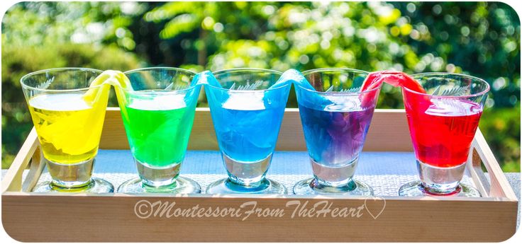 four glasses filled with different colored liquids on a wooden tray in front of trees