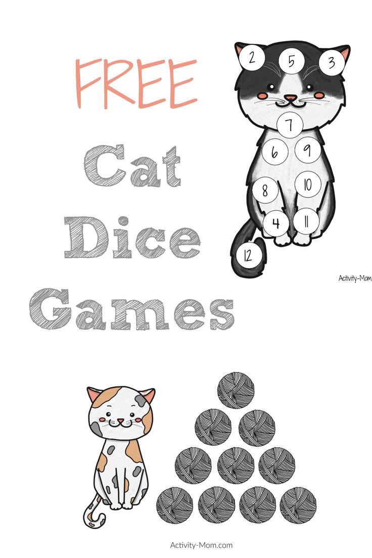 an image of a cat and dice game