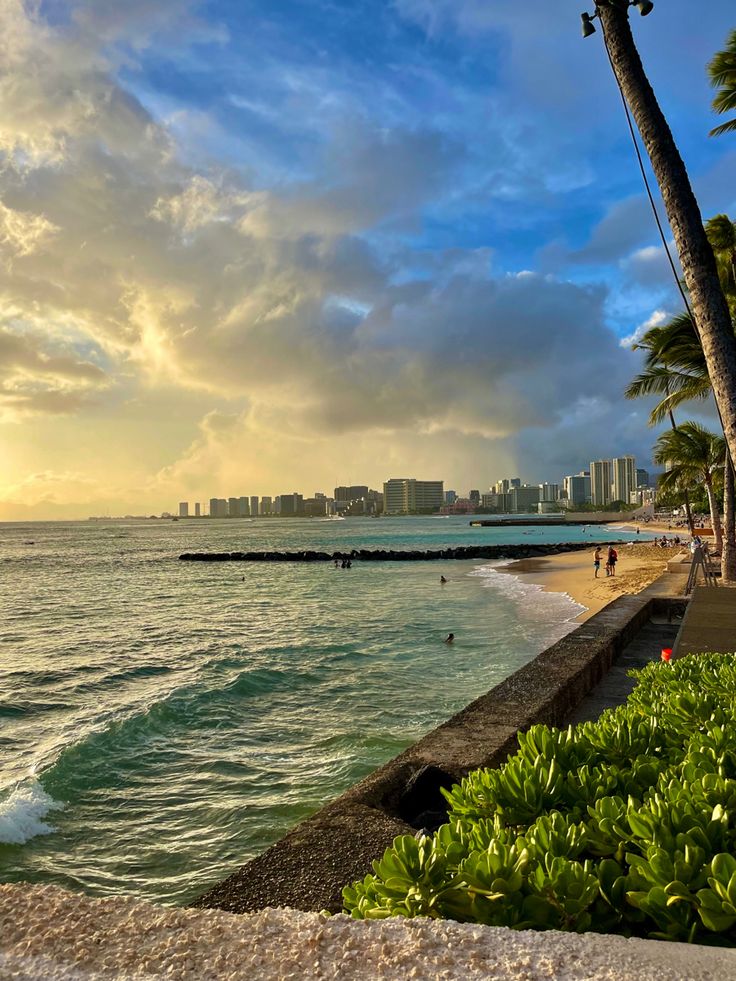 people are swimming in the ocean on a beach near palm trees and buildings at sunset