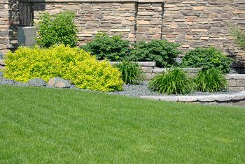 a stone wall and green grass in front of a building with yellow flowers on it