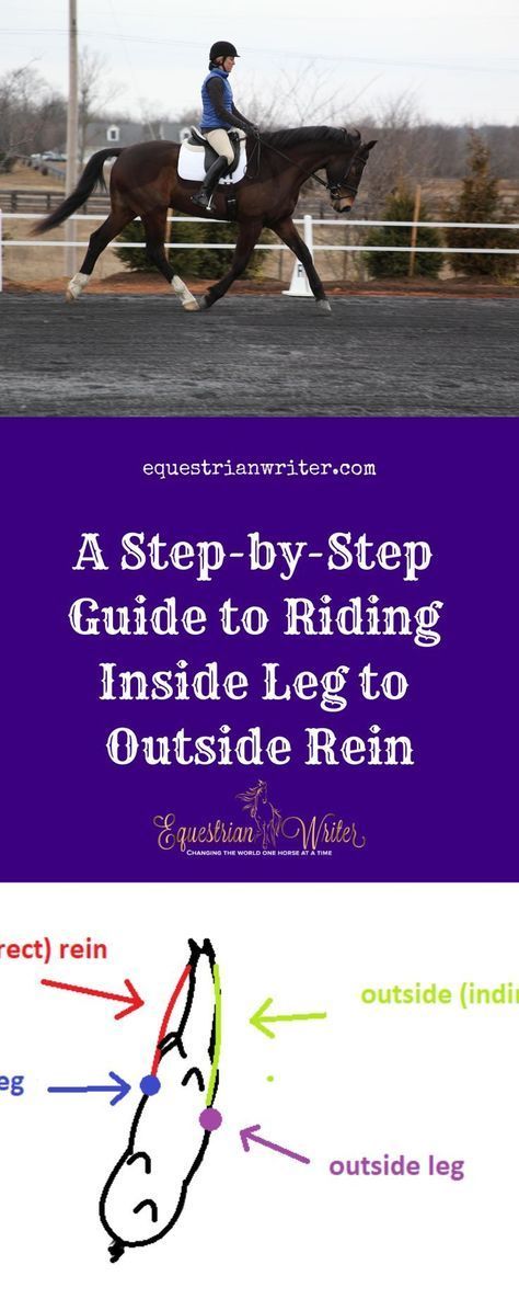 a person riding a horse with the words, step by step guide to riding inside leg to outside rein