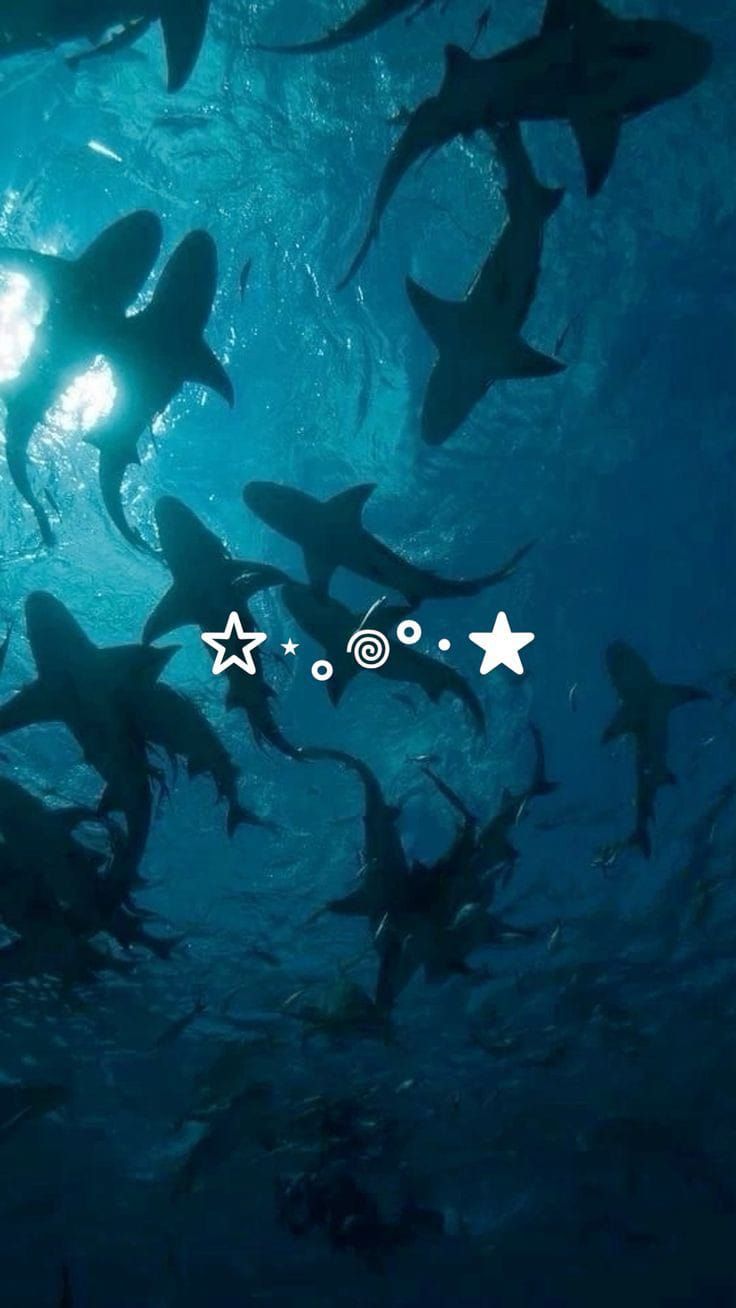 a large group of sharks swimming in the ocean with stars on their backs and bottom