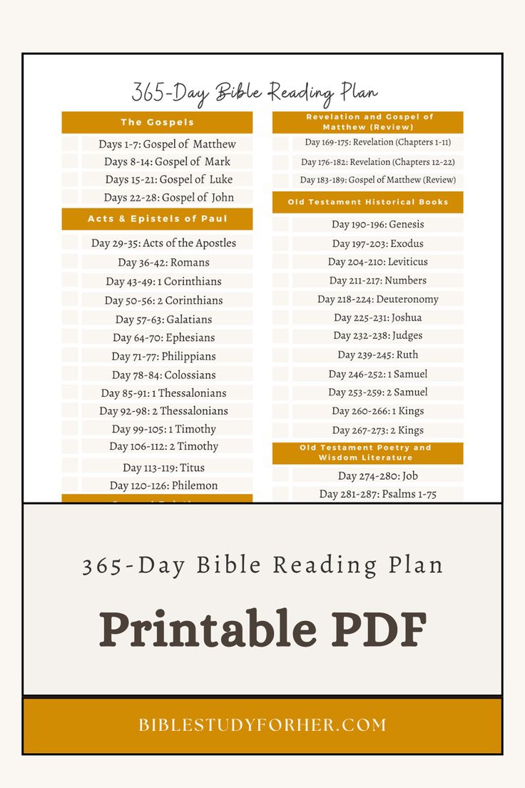 the printable bible reading plan is shown with text that reads, 365 day bible reading plan