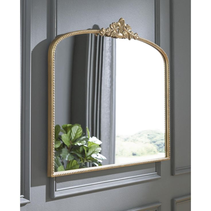 a mirror hanging on the side of a wall next to a plant in a vase