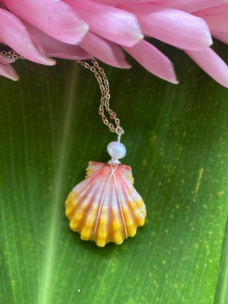 *This is the exact shell you will receive*  Check out all the other amazing shells I have in my shop! www.Etsy.com/shop/lauele  Follow us on instagram for giveaways! @lauelehawaii ▽ ▽ ▽ ▽ ▽ ▽ ▽ ▽ ▽ ▽ ▽ ▽ ▽ ▽ ▽ ▽ ▽ ▽ ▽ ▽ ▽ ▽ ▽ ▽ ▽ ▽ ▽ ▽ ▽ ▽ ▽ ▽ ▽ ▽ ▽ ▽ ▽ ▽ ▽ ▽ ▽ ▽ ▽ ▽ ▽ ▽ ▽ ▽ ▽ ▽ ▽ ▽ ▽ ▽ ▽ ▽ ▽ This shell: This is a smaller sized Hawaiian Sunrise Shell. The vibrant yellow and gold color of this sunrise shell, along with the ridges and shaping, truly do not get more stunning. The gold, yellow, pink and orange colors of this Hawaiian sunrise shell reflect the colors of the quintessential Hawaiian sunrise. This stunning shell is wrapped with a real freshwater pearl, and comes on a gold filled 18 inch chain. (If you'd like no pearl on the necklace, I can re-wrap it without. Please just add that Hand Wrapped Shell Jewelry, Unique Mother Of Pearl Shell As Gift, Wire Wrapped Shell Necklace Gift, Wire Wrapped Shell Gift, Handmade Ocean-inspired Shell Gift, Handmade Mother Of Pearl Shell Gift, Wire Wrapped Shell Jewelry As Gift, Shell Shaped Wire Wrapped Jewelry Gift, Wire Wrapped Shell Jewelry For Gift