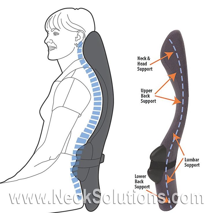 an image of the back and neck support system