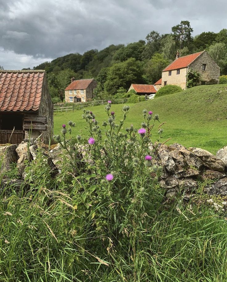 an old farm house in the middle of a field with flowers growing out of it