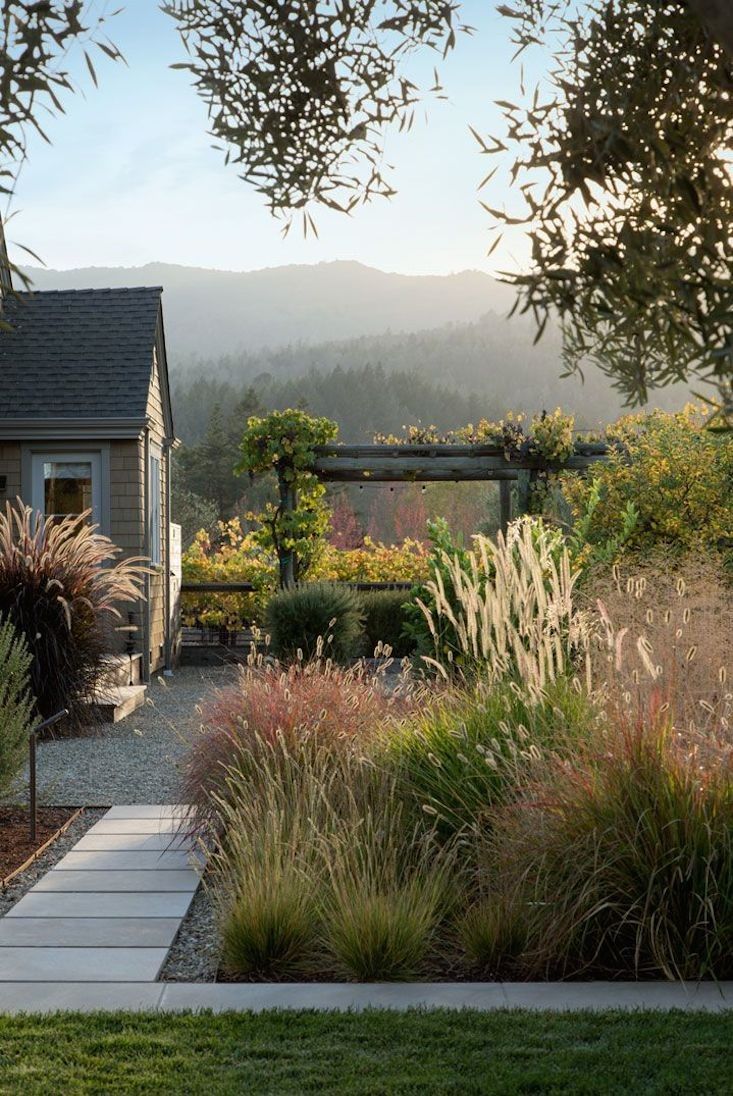 an outdoor garden with lots of plants and flowers on the side of the house, surrounded by greenery