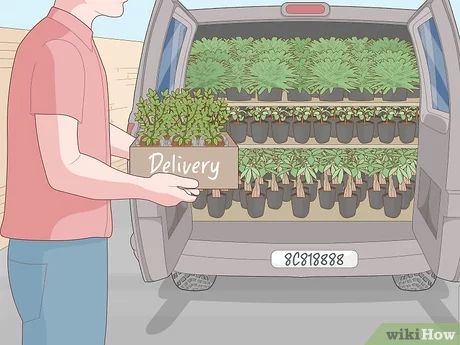 a man holding a box full of plants with the words delivery on it in front of him