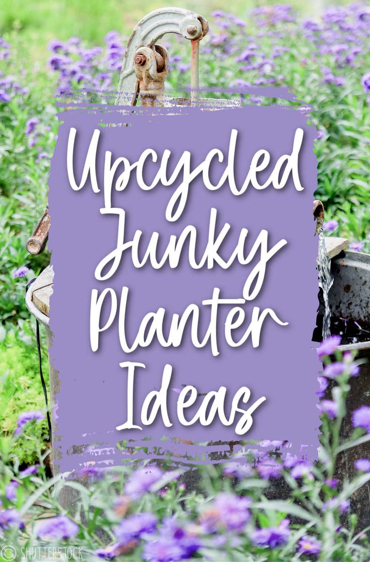 purple flowers with the words upcycled junky planter ideas