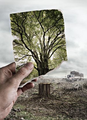 a hand holding up a piece of paper with a tree in the middle and an old truck behind it