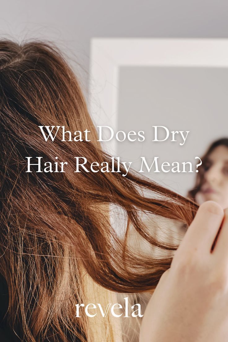 How To Nourish Dry Hair, Dry Hair Hairstyles Ideas, Add Moisture To Dry Hair, Why Is My Hair So Dry And Brittle, Soften Hair Naturally, What To Do For Dry Hair, How To Help Dry Hair, How To Add Moisture To Dry Hair, Why Is My Hair So Dry