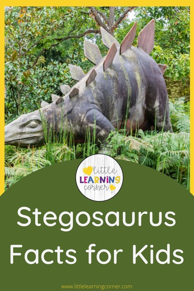 If your kids love dinosaurs, they will love these Stegosaurus Facts for Kids. Fun and easy facts about this large dinosaur and the amazing physical characteristics of... #dinosaurs #factsforkids Stegasorus Dinosaur, Earth Facts For Kids, Dinosaur Books For Kids, Dinosaur Facts, Learning Corner, Largest Dinosaur, Physical Characteristics, All Dinosaurs, State Of Colorado