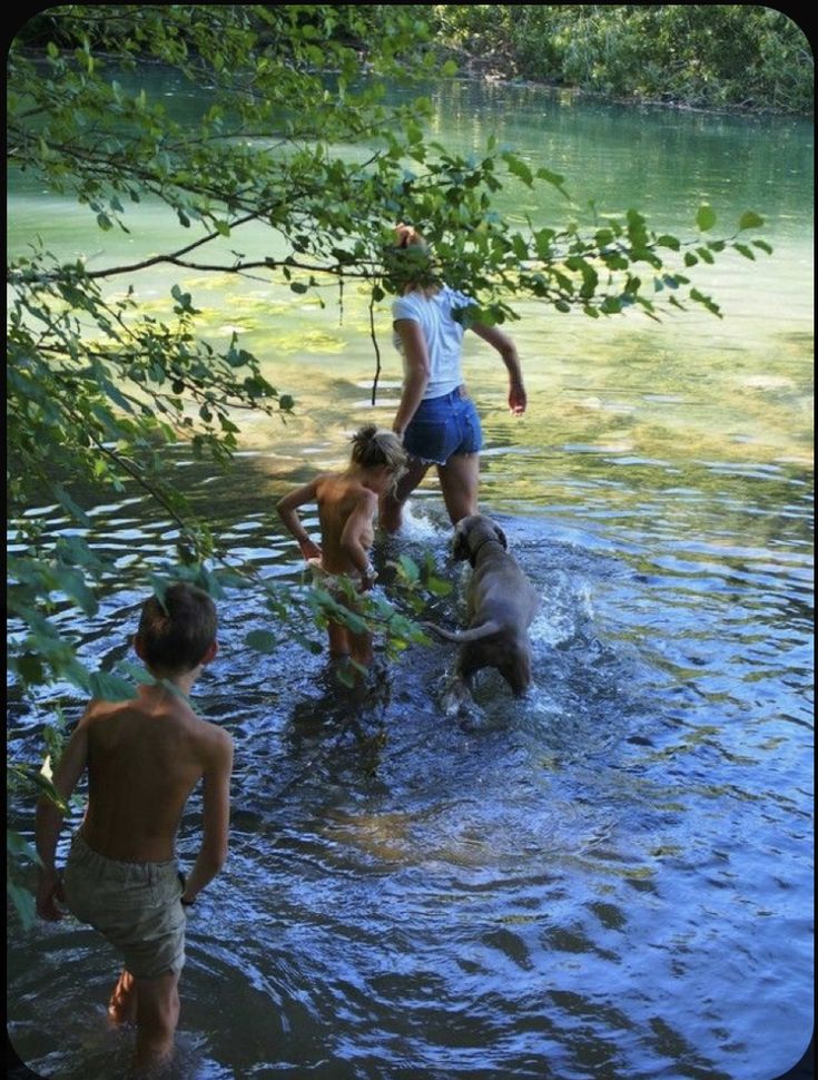 three people and two dogs playing in the water