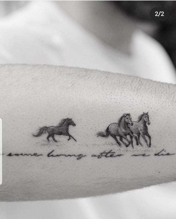 three horses running in the same direction with words on their arm that says, i am sorry to the horse