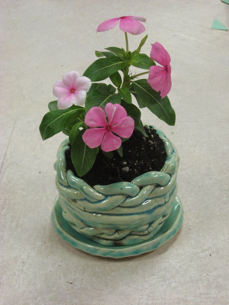 a small potted plant with pink flowers in it