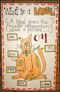 a drawing of a cat with labels on it