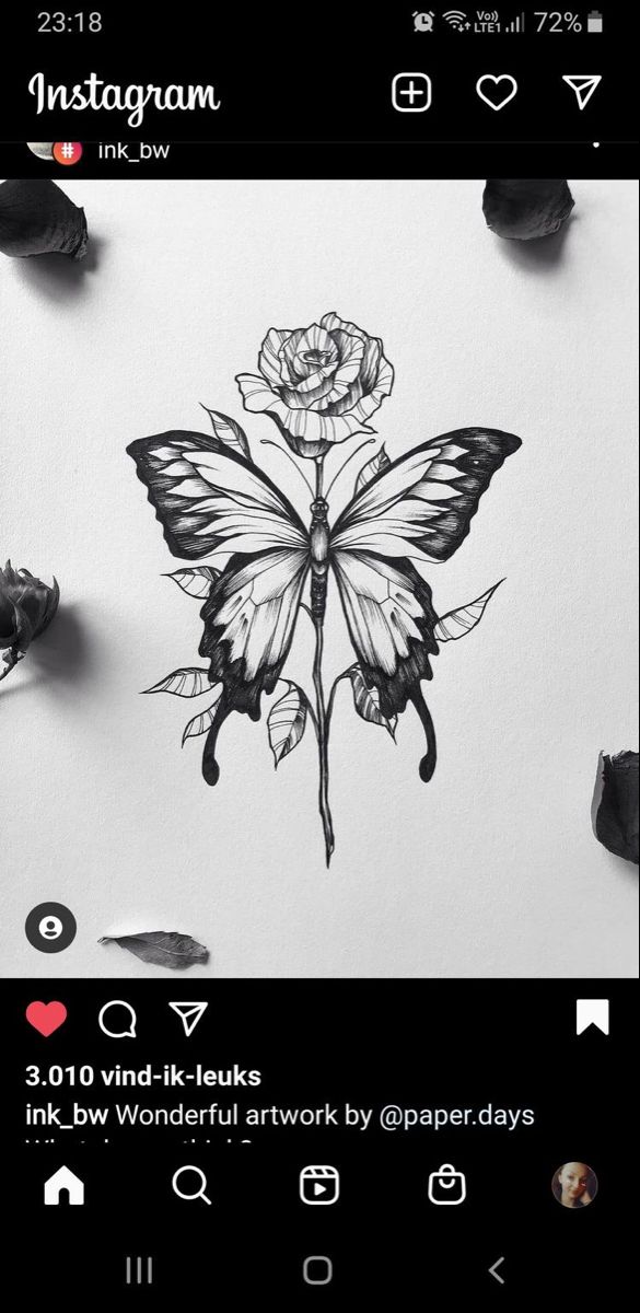 a drawing of a butterfly with a rose on it