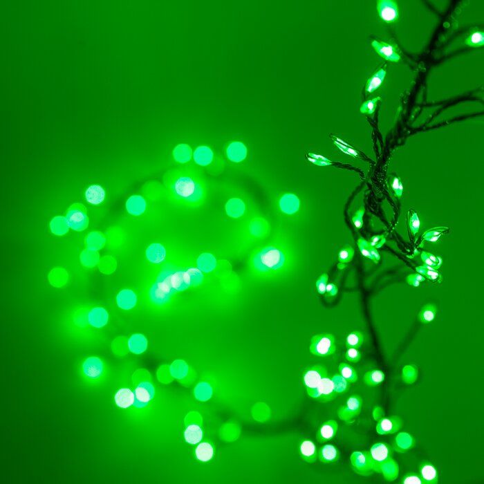 green christmas lights on a branch in the dark