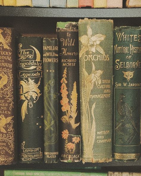 old books are lined up on a shelf in a bookcase with other books behind them