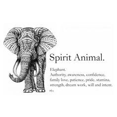 Drawing Ideas Elephant, Quotes Drawing Ideas, Aesthetic Elephant, Sketch Elephant, Elephant Aesthetic, Elephant Spirit Animal, Elephant Drawings, Elephant Meaning, Elephant Quotes