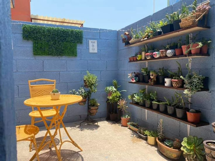 an outdoor patio with potted plants on the wall and a table in the middle