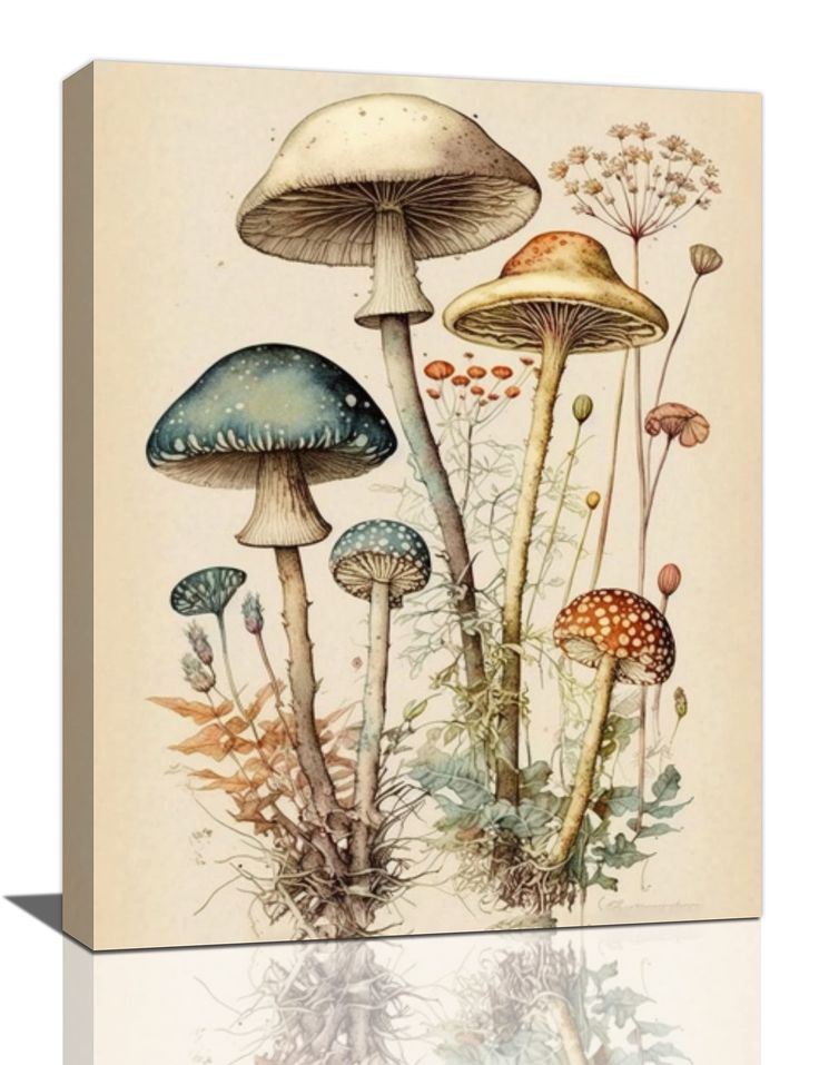 an illustration of mushrooms on a white background