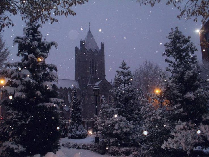 snow falling on the ground and trees in front of a church