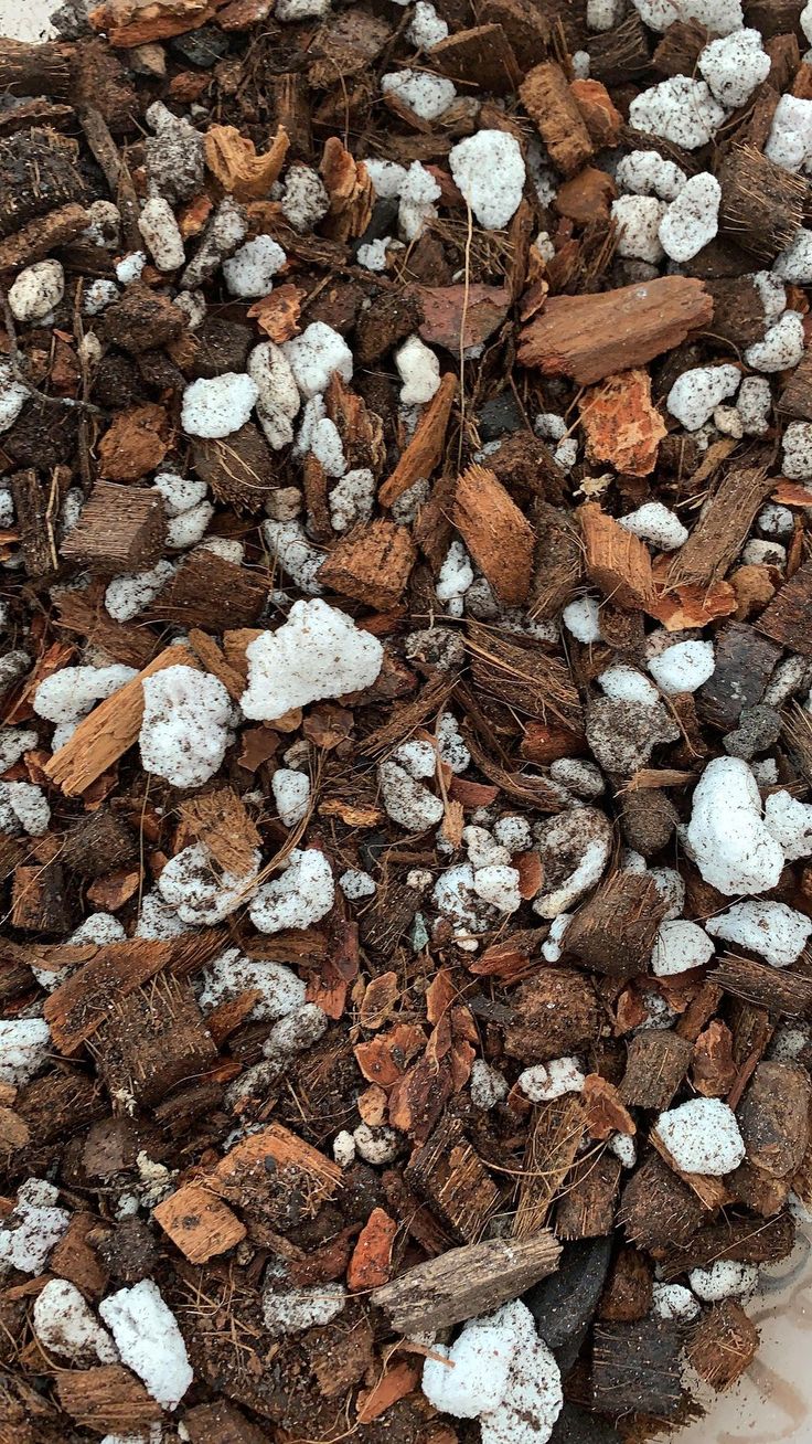 a pile of brown and white stuff on the ground