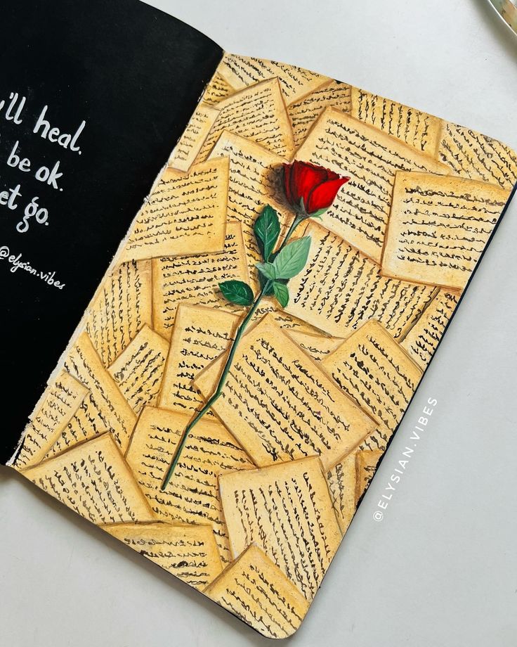 an open book with a rose on it