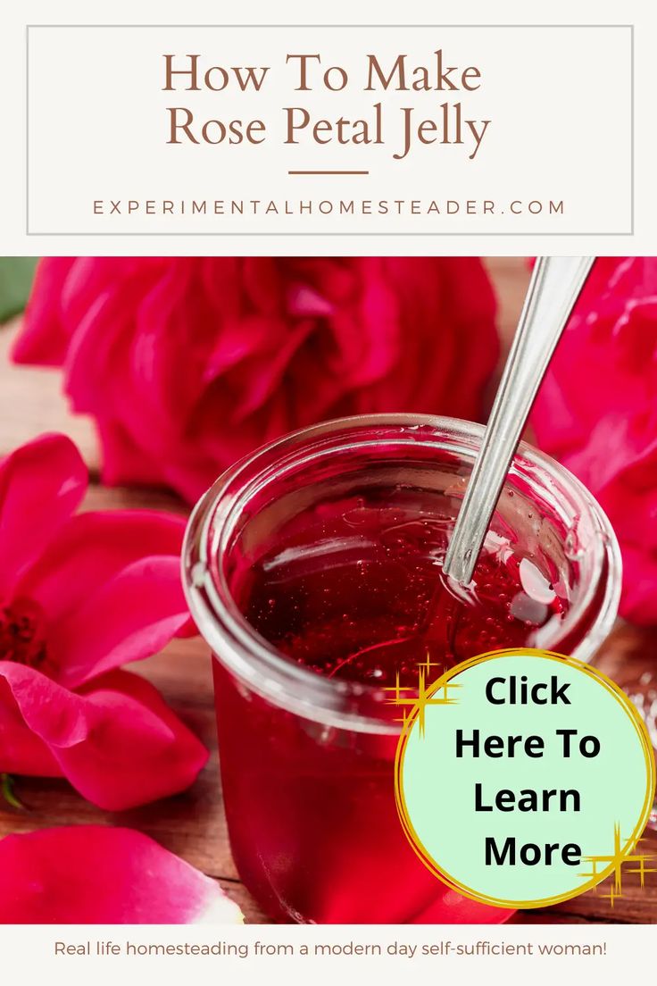 how to make rose petal jelly with text overlay that reads, how to make rose petal jelly click here to learn more