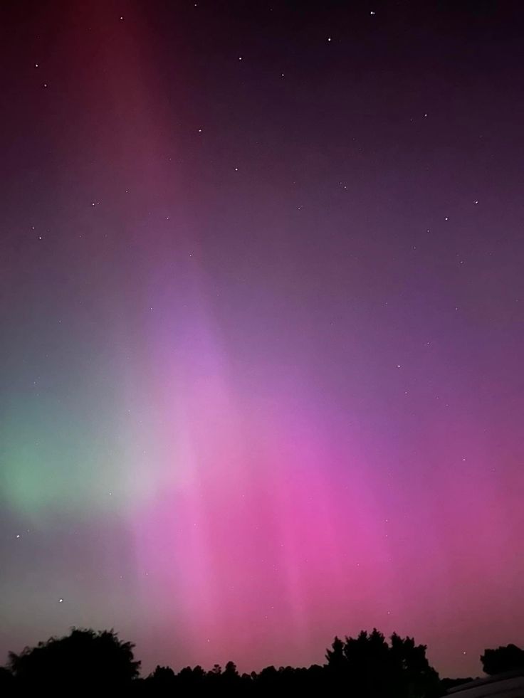 the aurora lights shine brightly in the night sky above some trees and grass, with dark purple hues