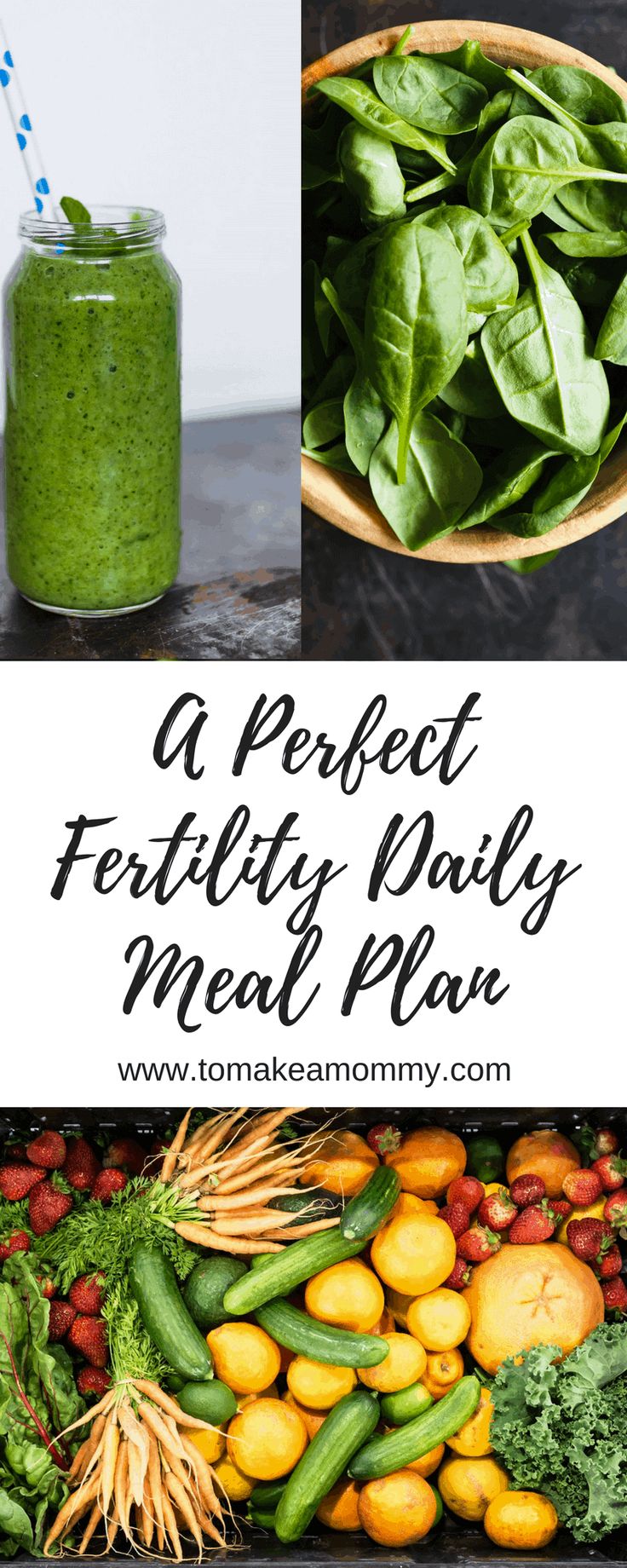 A day in the life of the Ultimate Fertility Diet - To Make a Mommy Fertility Meal Plan, Ttc Diet, Fertility Diet Plan, Ivf Diet, High Sugar Fruits, Fertility Smoothie, Fertility Foods, Daily Meal Plan, Fertility Diet