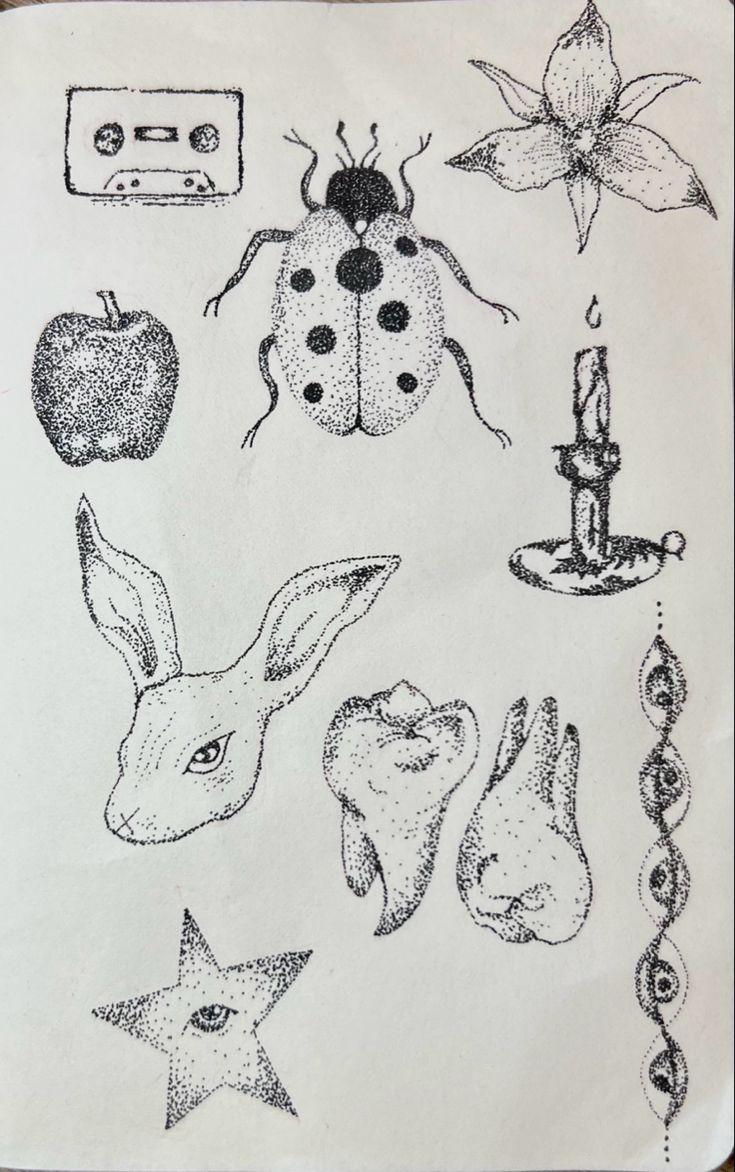 a drawing of bugs, ladybugs, and other items in black and white